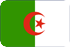 Marketing SMS  Algérie